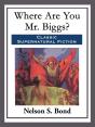 Where Are You Mr. Biggs? - Preview