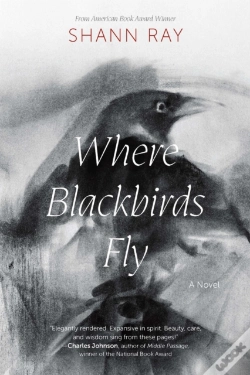 Capa do artigo Where Blackbirds Fly