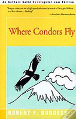 Capa do artigo Where Condors Fly