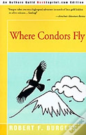 Capa do artigo Where Condors Fly