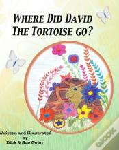 Where Did David The Tortoise Go?