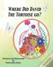 Where Did David The Tortoise Go?