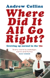 Capa do artigo Where Did It All Go Right?