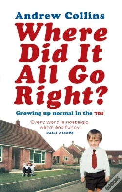 Capa do artigo Where Did It All Go Right?
