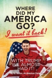 Where Did My America Go : I Want It Back