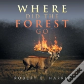 Where Did The Forest Go