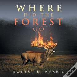 Capa do artigo Where Did The Forest Go