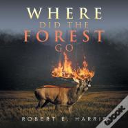 Where Did The Forest Go