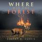 Where Did The Forest Go - Preview