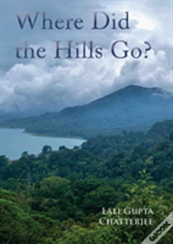 Capa do artigo Where Did The Hills Go