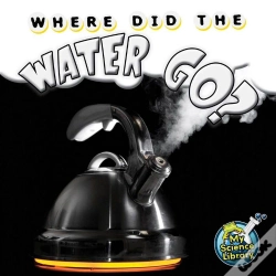 Capa do artigo Where Did The Water Go?