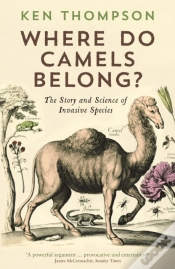 Capa do artigo Where Do Camels Belong?
