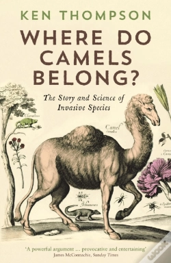 Capa do artigo Where Do Camels Belong?