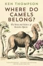 Where Do Camels Belong? - Preview