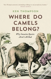 Capa do artigo Where Do Camels Belong?