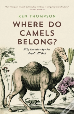 Capa do artigo Where Do Camels Belong?