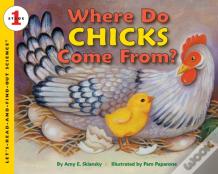 Where Do Chicks Come From?