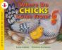 Where Do Chicks Come From? - Preview
