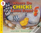 Where Do Chicks Come From?