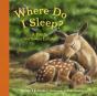 Where Do I Sleep? - Preview