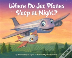 Capa do artigo Where Do Jet Planes Sleep At Night?