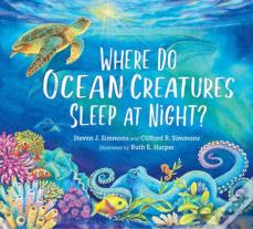 Where Do Ocean Creatures Sleep At Night?
