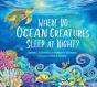 Where Do Ocean Creatures Sleep At Night? - Preview