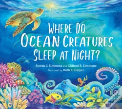 Capa do artigo Where Do Ocean Creatures Sleep At Night?