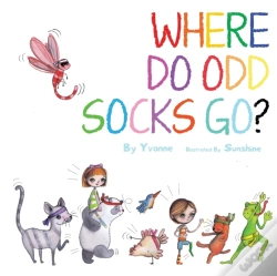 Capa do artigo Where Do Odd Sock Go?