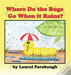 Capa do artigo Where Do The Bugs Go When It Rains?