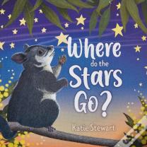 Where Do The Stars Go?