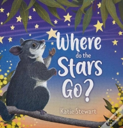 Capa do artigo Where Do The Stars Go?