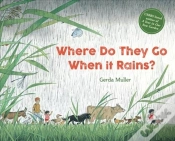 Capa do artigo Where Do They Go When It Rains?