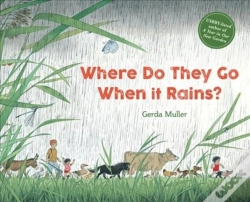 Capa do artigo Where Do They Go When It Rains?