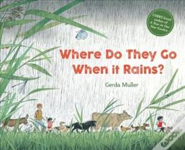 Where Do They Go When It Rains?