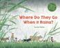 Where Do They Go When It Rains? - Preview
