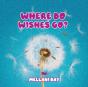Where Do Wishes Go? - Preview