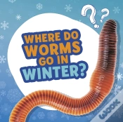 Capa do artigo Where Do Worms Go In Winter?
