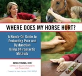 Where Does My Horse Hurt?