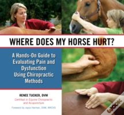 Capa do artigo Where Does My Horse Hurt?