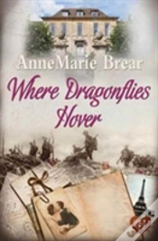 Capa do artigo Where Dragonflies Hover