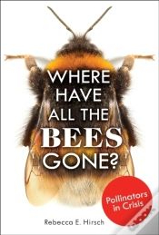 Capa do artigo Where Have All The Bees Gone?