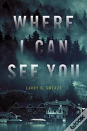 Capa do artigo Where I Can See You