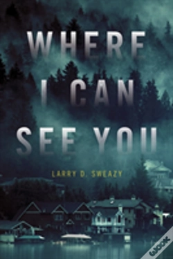 Capa do artigo Where I Can See You