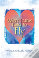 Where Icarus Failed To Fly