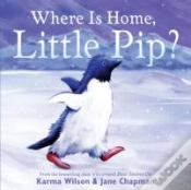 Capa do artigo Where Is Home, Little Pip?