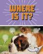 Where Is It? - Preview