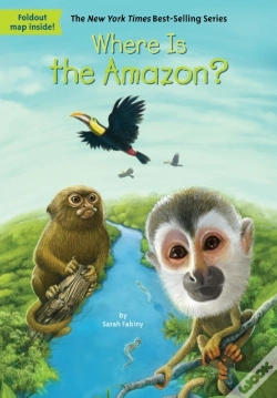 Capa do artigo Where Is The Amazon?
