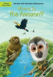 Capa do artigo Where Is The Amazon?