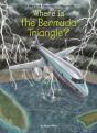 Where Is The Bermuda Triangle? - Preview
